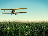 ¿Es el herbicida glifosato la causa del incremento de casos de celiaquía?
